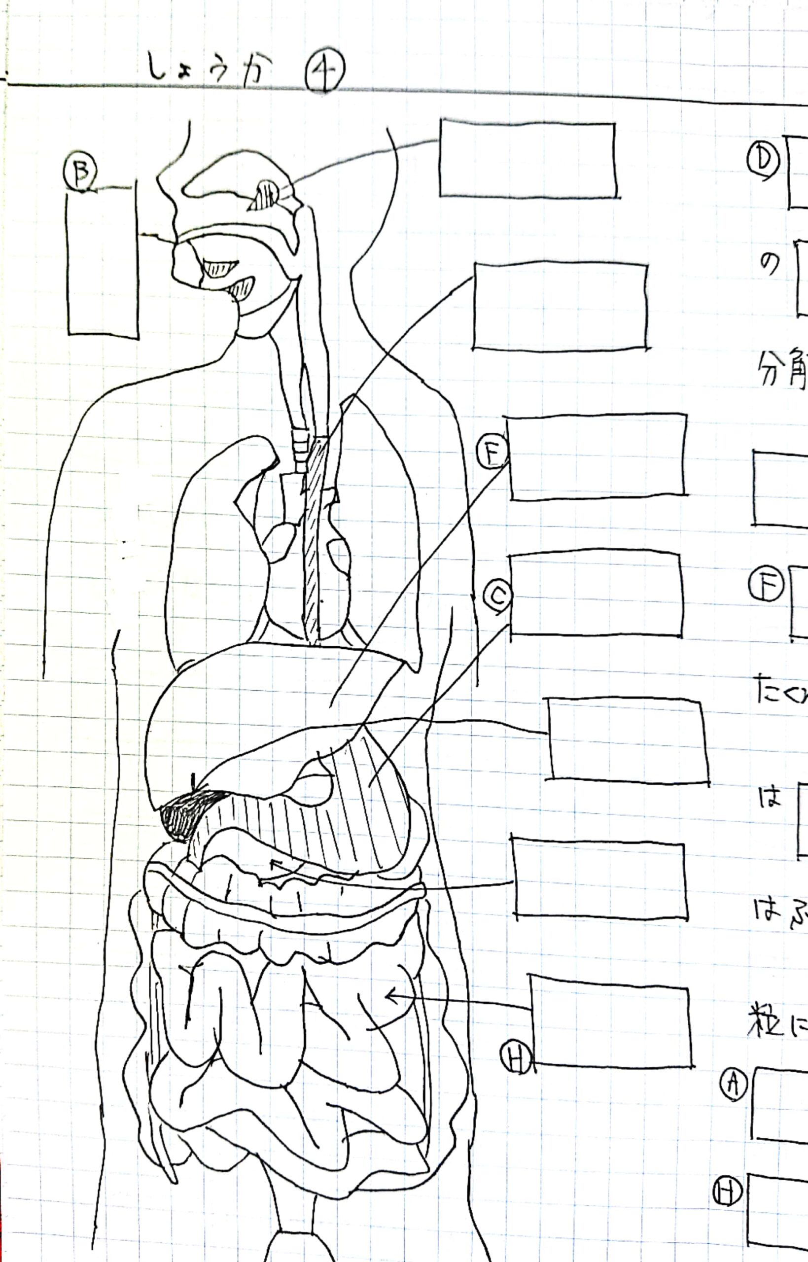 日向市｜中学生・高校生向け学習塾｜木村塾｜女性塾長の少人数個別指導