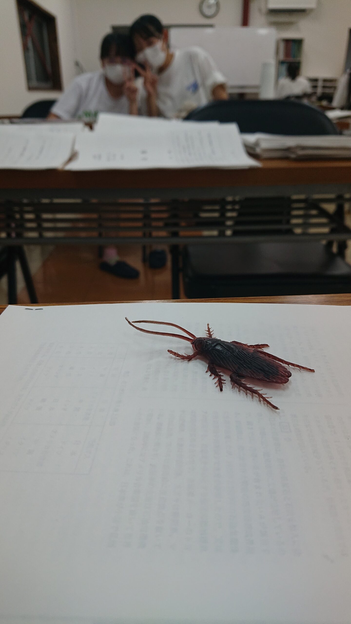 日向市｜中学生・高校生向け学習塾｜木村塾｜女性塾長の少人数個別指導