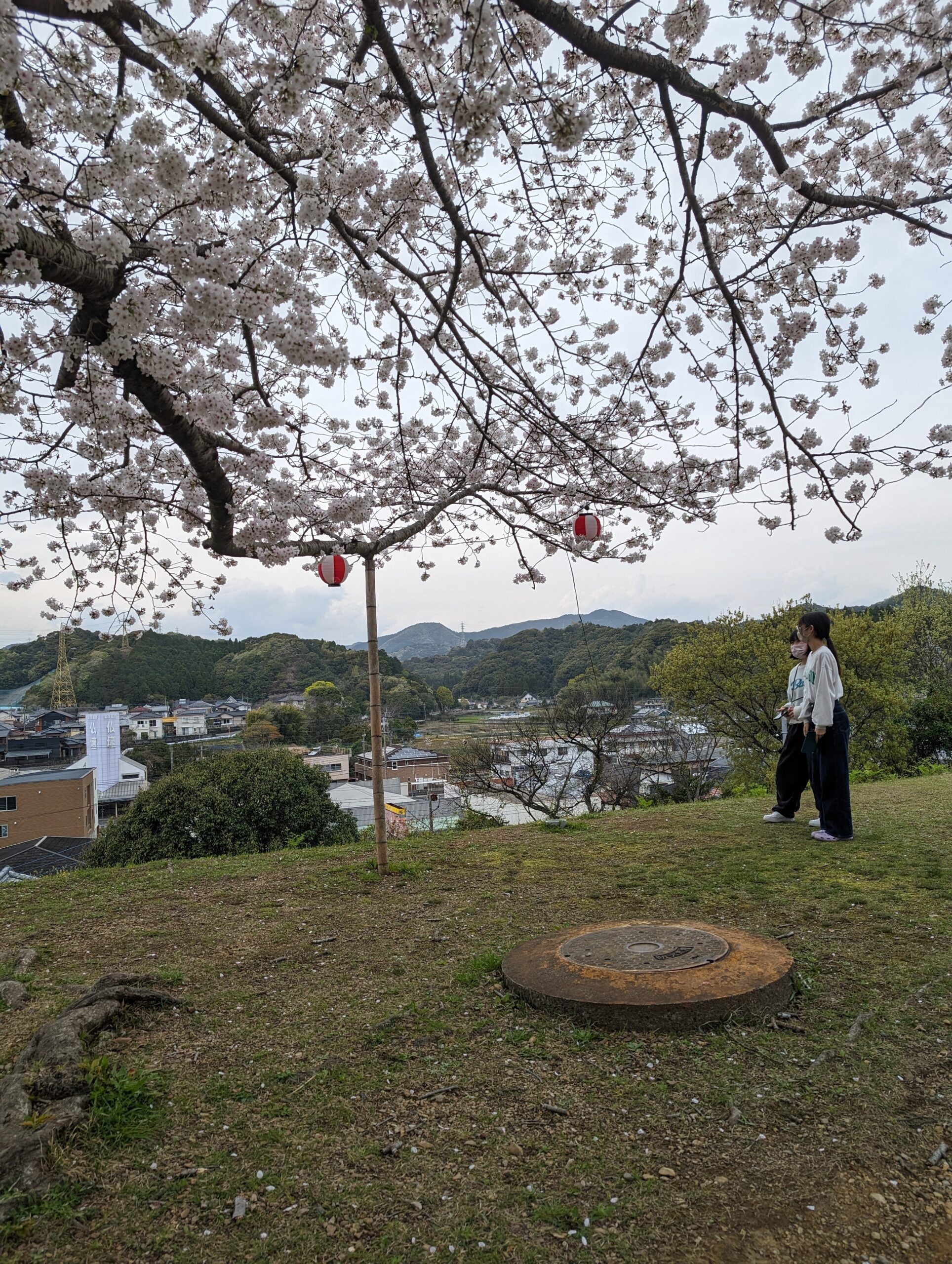 日向市｜中学生・高校生向け学習塾｜木村塾｜女性塾長の少人数個別指導