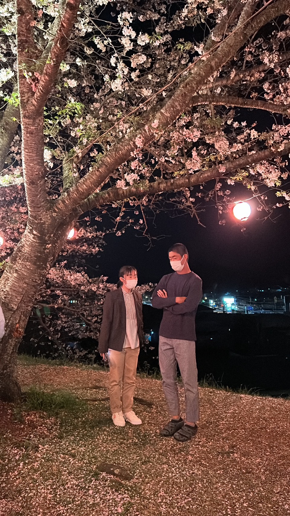 日向市｜中学生・高校生向け学習塾｜木村塾｜女性塾長の少人数個別指導