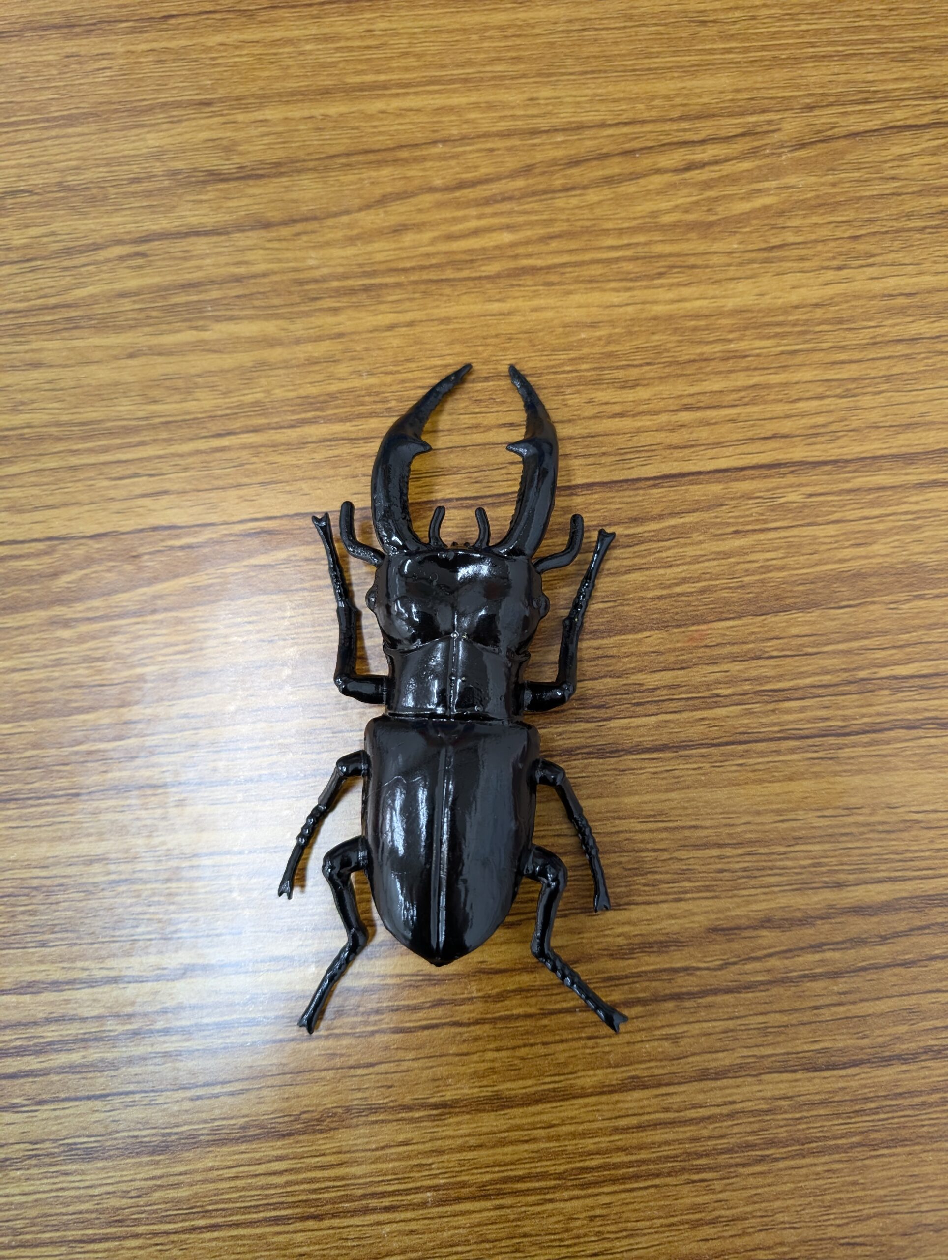 日向市｜中学生・高校生向け学習塾｜木村塾｜女性塾長の少人数個別指導